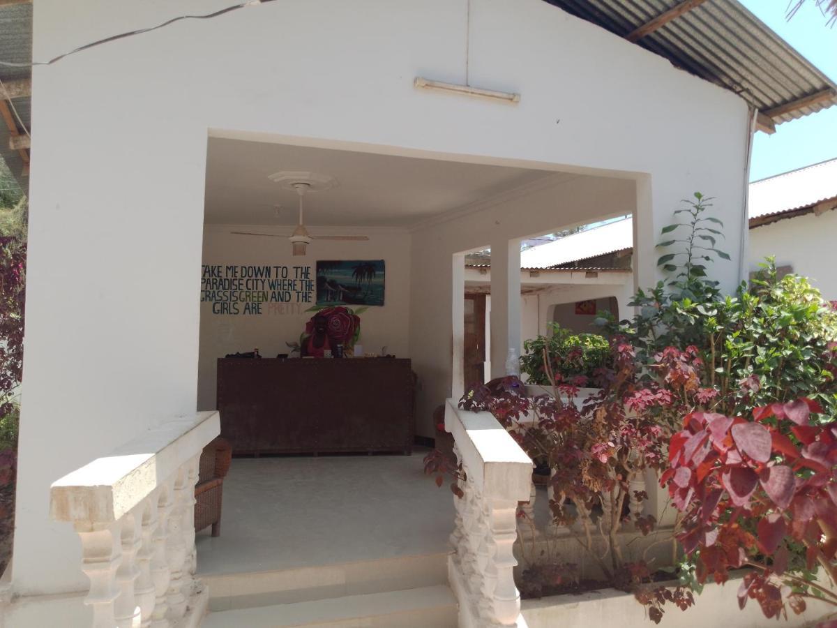H & H Bungalows Nungwi Extérieur photo