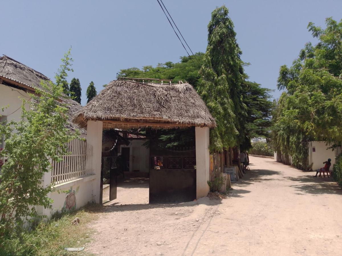 H & H Bungalows Nungwi Extérieur photo